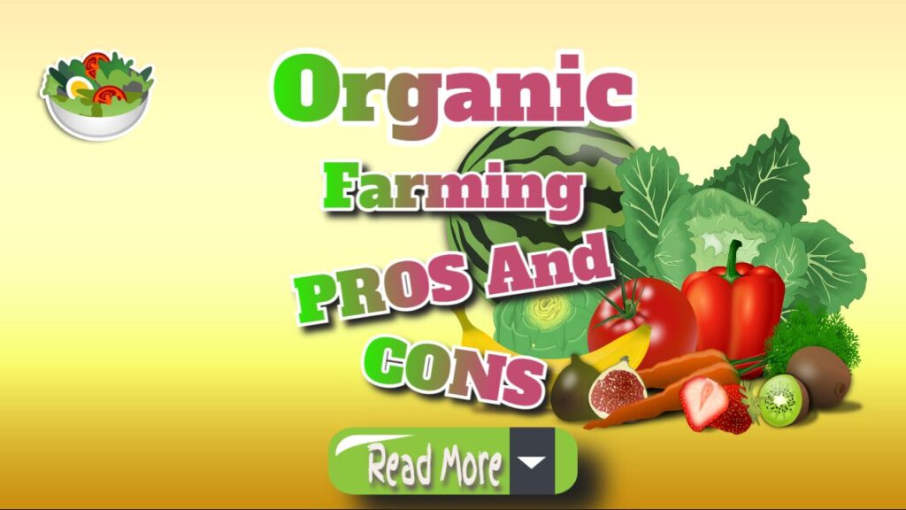 Organic Farming Pros and Cons: A Clear Overview