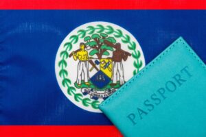 Online Immigration System for Belize Travelers: Key Insights