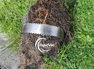 Vac Trucks for Efficient Tree Root Drain Clearing