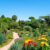 Botanical Gardens in San Miguel de Allende: A Hidden Treasure