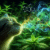 Catnip Reaction: Unveiling Fascinating Cat Behaviors