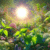 Herbal Strategies for Seasonal Crafting: Your Essential Guide