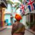 Belize’s English: Exploring Colonial and Modern Identity