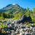 Xero Shoes: Your Ultimate Guide to Summer Adventures