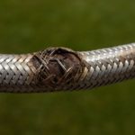 Burst Pipes and Flexi Hoses: Essential Emergency Plumber Tips