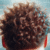 Scalp Care Techniques for Enhanced Hair Growth