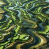 Ultimate Golfing Destination: Bellville Golf Club Experience