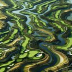 Ultimate Golfing Destination: Bellville Golf Club Experience
