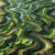 Ultimate Golfing Destination: Bellville Golf Club Experience