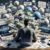 Debt Consolidation Loan Options for Smart Savings Solutions