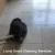 Grout Cleaners: Best Local Options in Longcross