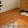 Terracotta Tile Resealing: Top Tips and Timing Insights