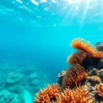 Snorkeling the Belize Barrier Reef: Best Spots and Wildlife
