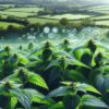 Herbs for Hair Shine: Best UK Options for Glossy Locks