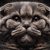 Essential Guide to Ear Maintenance for Scottish Folds