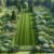 Garden Clearance Cost: Essential UK Guide to Pricing