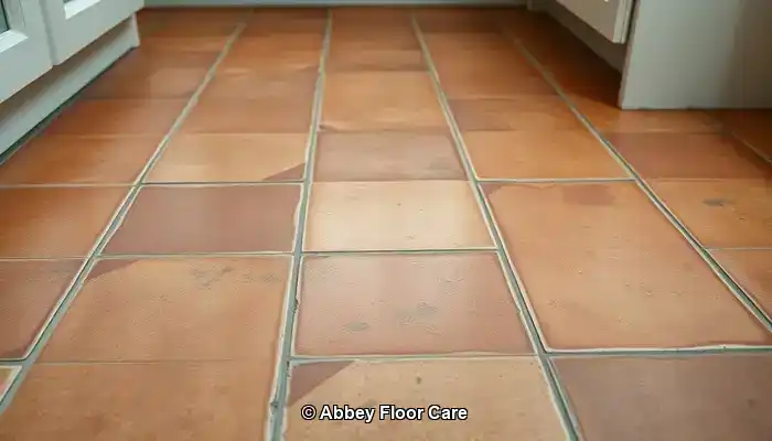 Understanding the Causes of Rapid Dirt Accumulation on Terracotta Floors