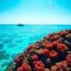 Belize Travel Guide: Key Info Every Visitor Needs