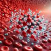 Ferritin Blood Test: Explore Iron Levels in Southampton