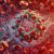 Ferritin Blood Test: Key Insights for Residents of Torquay