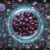 Ferritin Blood Test: Key Insights for Residents of Warwick