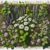 Herbal Remedies Guide: Essential Tips for the UK