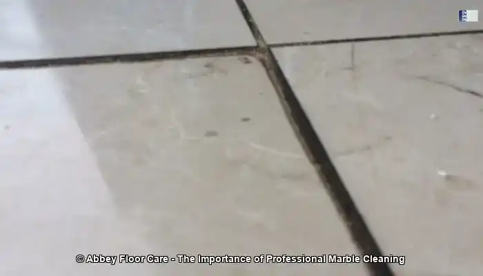 Marble Cleaner Services in Toryglen Near You