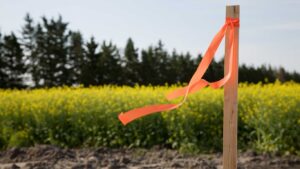 Subdivision Surveys: Key Insights for Land Division in Clyde North