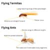 Flying Termites: Importance and Response Strategies